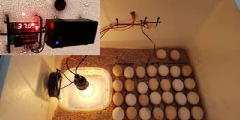 Hướng dẫn cách làm mô hình máy ấp trứng gà hiệu quả